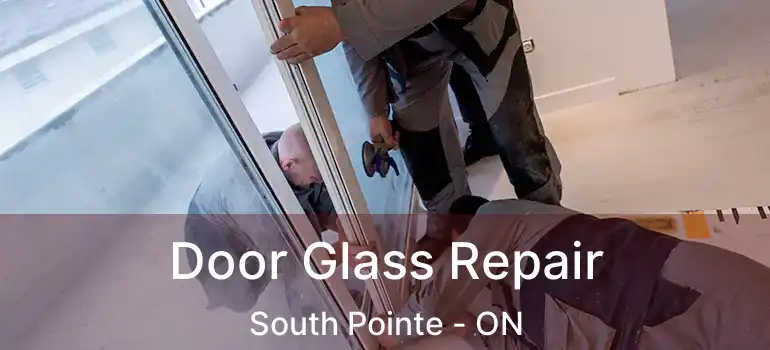  Door Glass Repair South Pointe - ON