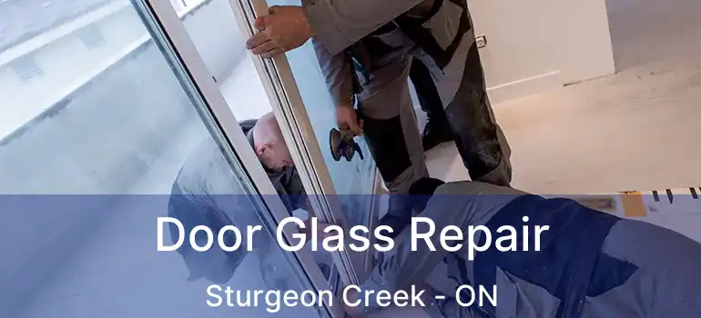  Door Glass Repair Sturgeon Creek - ON