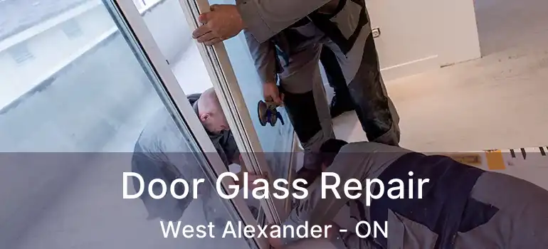  Door Glass Repair West Alexander - ON