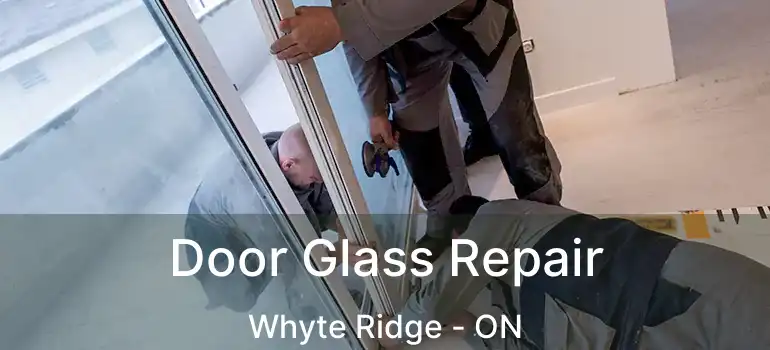  Door Glass Repair Whyte Ridge - ON