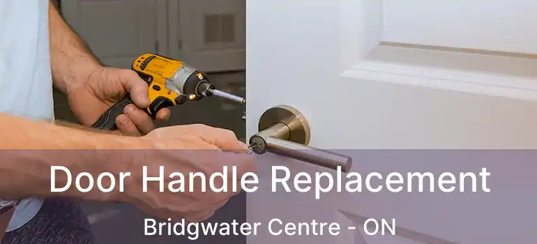  Door Handle Replacement Bridgwater Centre - ON