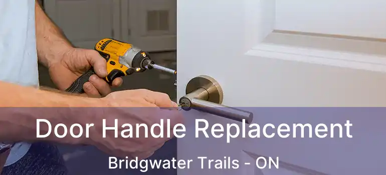 Door Handle Replacement Bridgwater Trails - ON