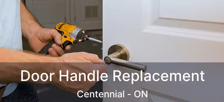  Door Handle Replacement Centennial - ON
