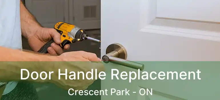  Door Handle Replacement Crescent Park - ON