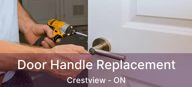  Door Handle Replacement Crestview - ON