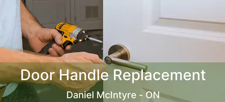  Door Handle Replacement Daniel McIntyre - ON