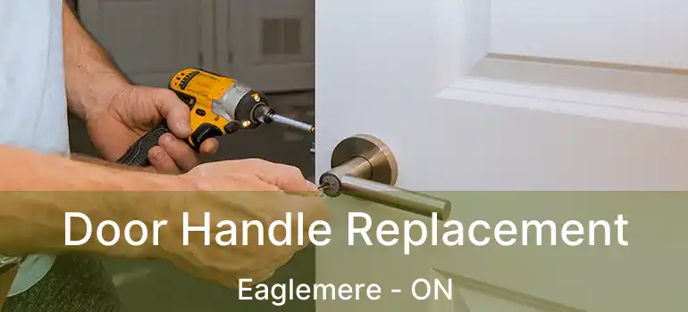  Door Handle Replacement Eaglemere - ON
