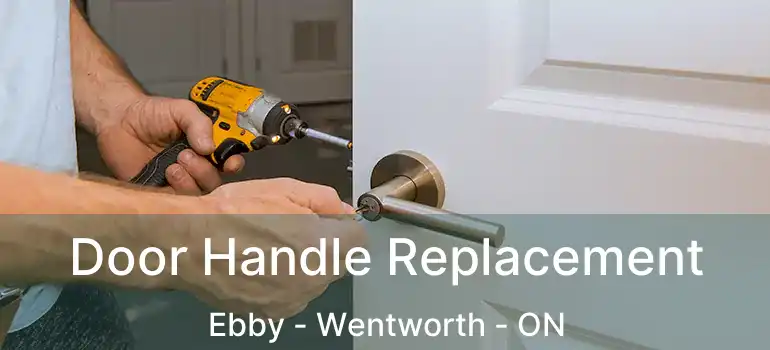  Door Handle Replacement Ebby - Wentworth - ON