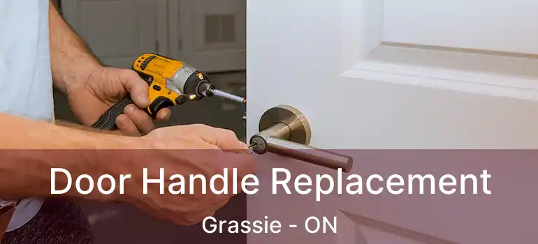  Door Handle Replacement Grassie - ON
