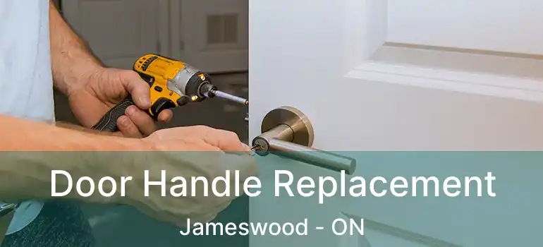  Door Handle Replacement Jameswood - ON