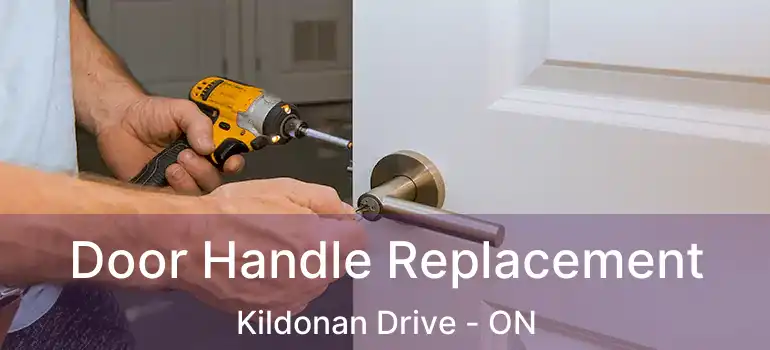  Door Handle Replacement Kildonan Drive - ON