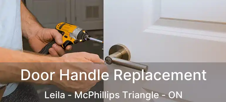  Door Handle Replacement Leila - McPhillips Triangle - ON