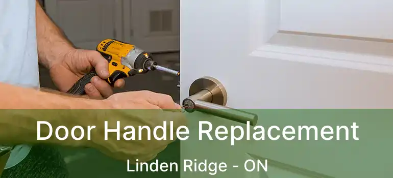  Door Handle Replacement Linden Ridge - ON