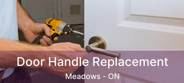  Door Handle Replacement Meadows - ON