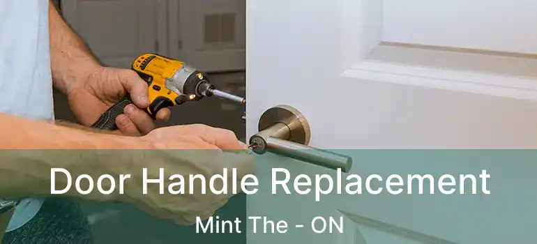  Door Handle Replacement Mint The - ON