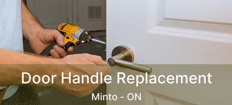  Door Handle Replacement Minto - ON
