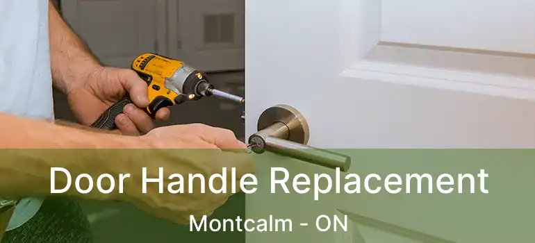  Door Handle Replacement Montcalm - ON