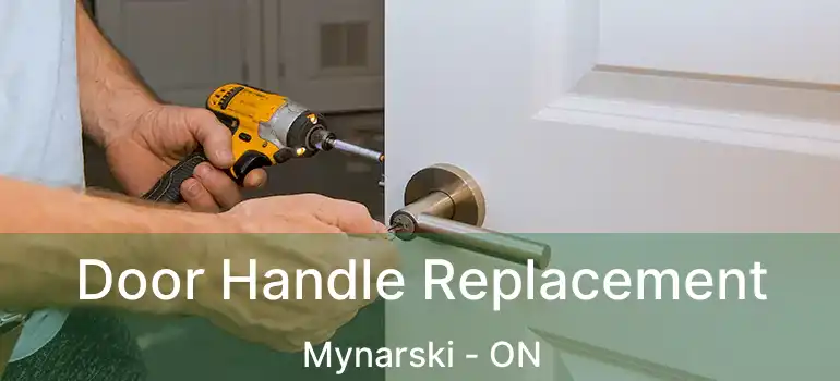  Door Handle Replacement Mynarski - ON