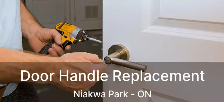  Door Handle Replacement Niakwa Park - ON