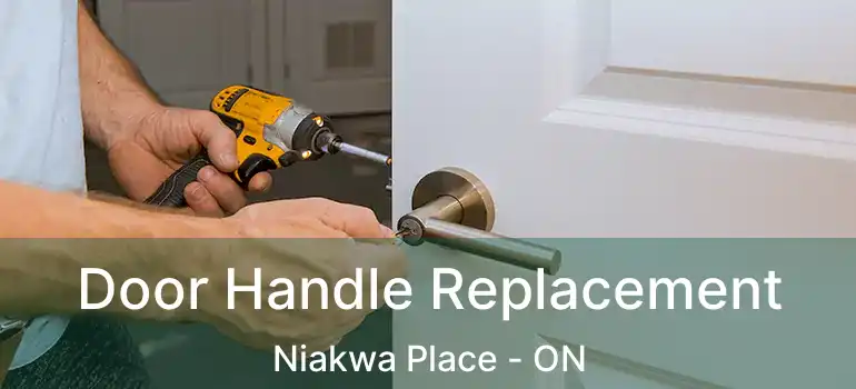 Door Handle Replacement Niakwa Place - ON