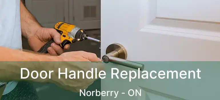  Door Handle Replacement Norberry - ON