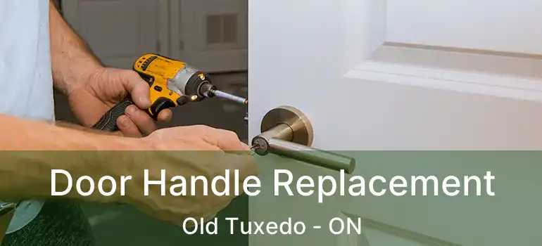 Door Handle Replacement Old Tuxedo - ON
