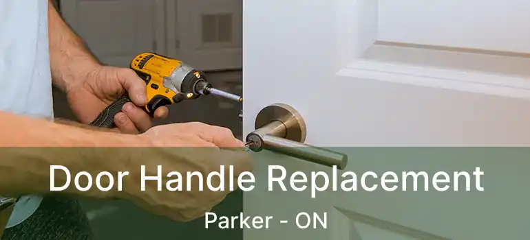  Door Handle Replacement Parker - ON