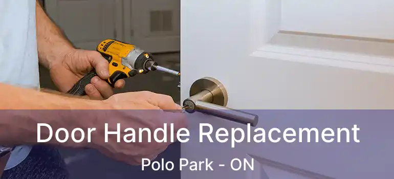  Door Handle Replacement Polo Park - ON
