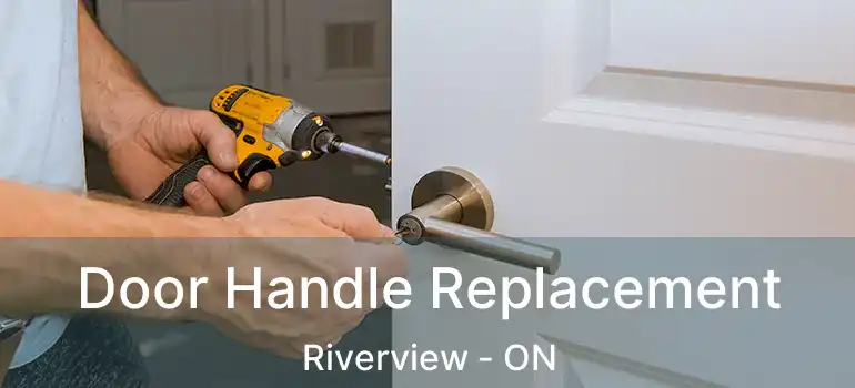  Door Handle Replacement Riverview - ON