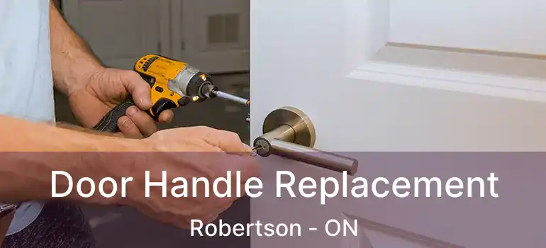  Door Handle Replacement Robertson - ON