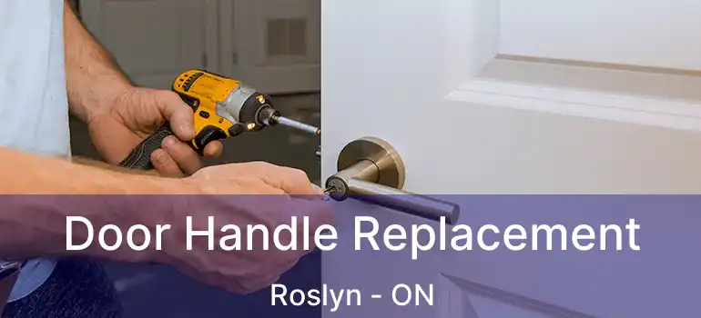 Door Handle Replacement Roslyn - ON