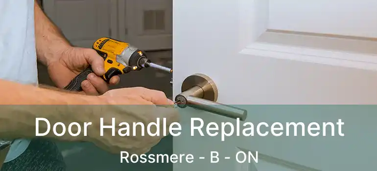  Door Handle Replacement Rossmere - B - ON