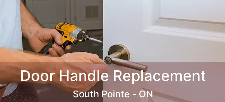  Door Handle Replacement South Pointe - ON