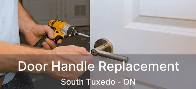  Door Handle Replacement South Tuxedo - ON