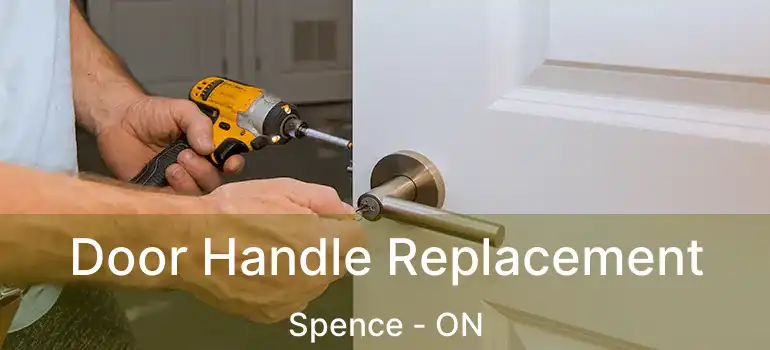  Door Handle Replacement Spence - ON