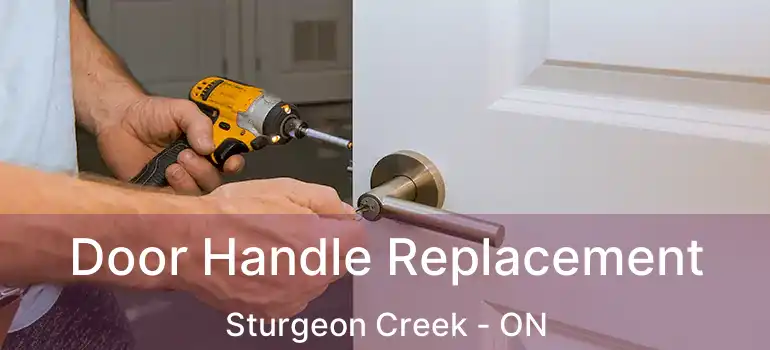  Door Handle Replacement Sturgeon Creek - ON