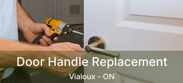  Door Handle Replacement Vialoux - ON