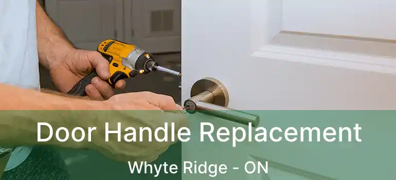  Door Handle Replacement Whyte Ridge - ON
