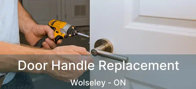  Door Handle Replacement Wolseley - ON