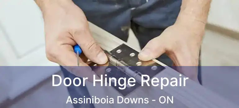  Door Hinge Repair Assiniboia Downs - ON