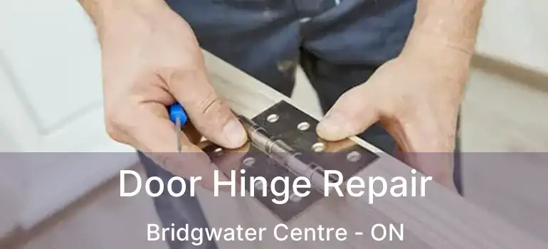  Door Hinge Repair Bridgwater Centre - ON