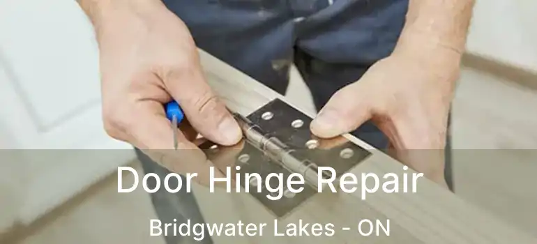 Door Hinge Repair Bridgwater Lakes - ON