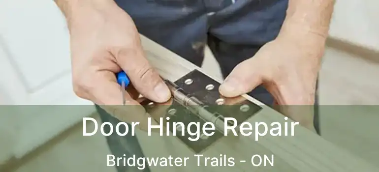  Door Hinge Repair Bridgwater Trails - ON