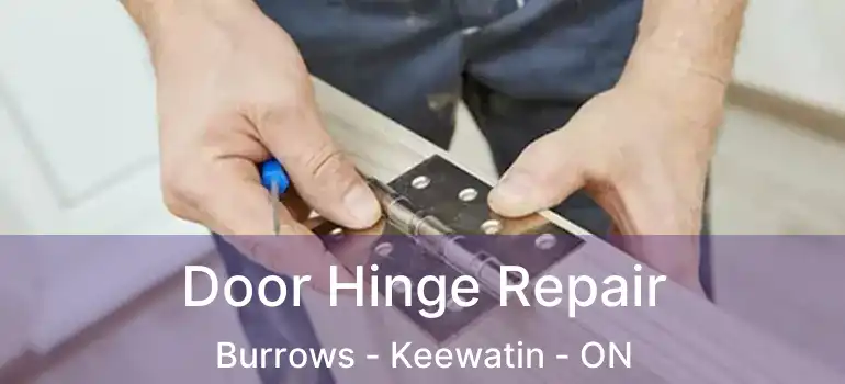  Door Hinge Repair Burrows - Keewatin - ON