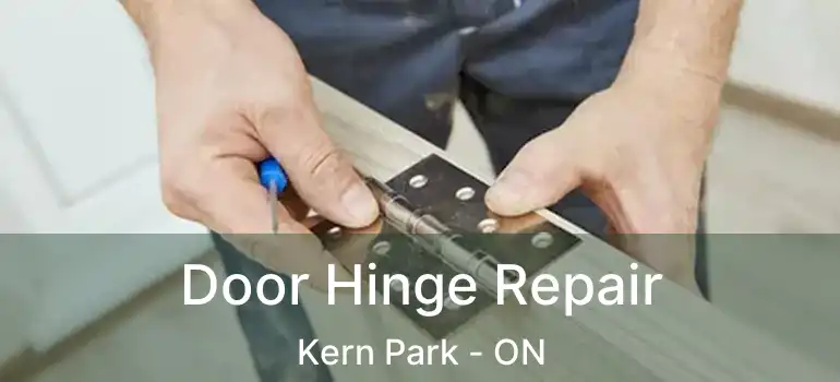  Door Hinge Repair Kern Park - ON