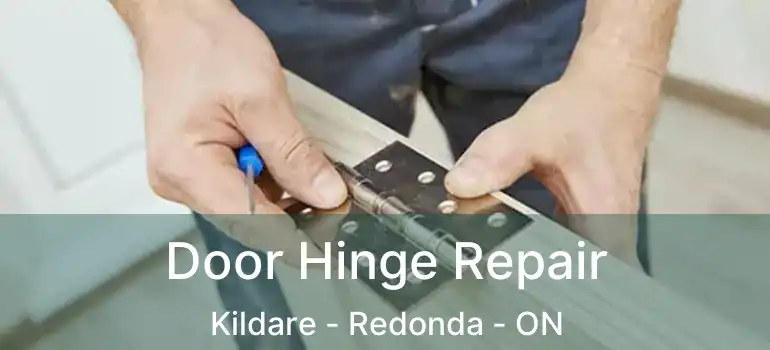  Door Hinge Repair Kildare - Redonda - ON