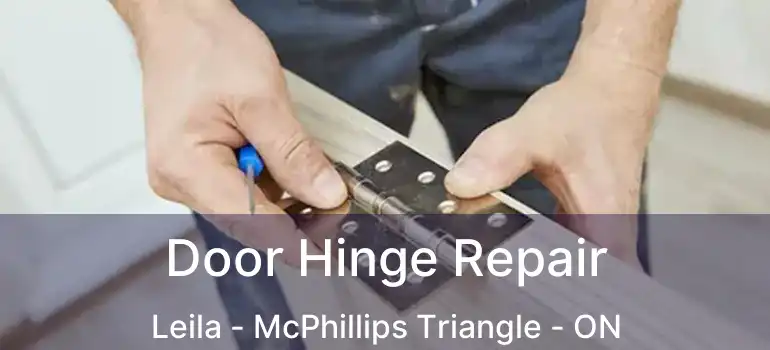  Door Hinge Repair Leila - McPhillips Triangle - ON