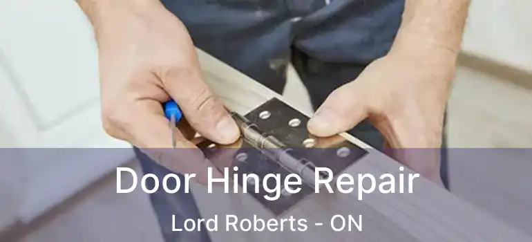  Door Hinge Repair Lord Roberts - ON