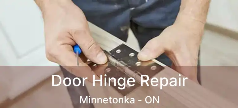  Door Hinge Repair Minnetonka - ON