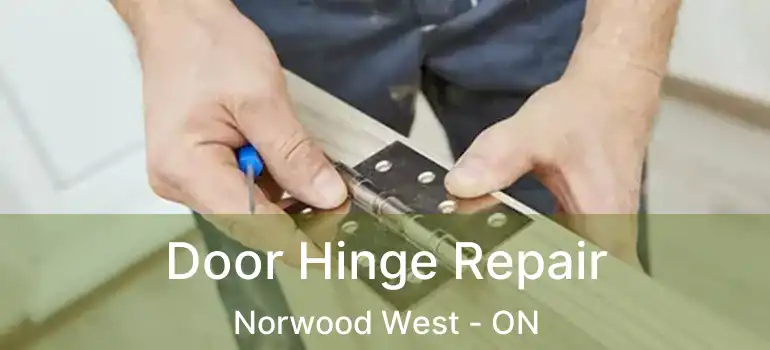  Door Hinge Repair Norwood West - ON